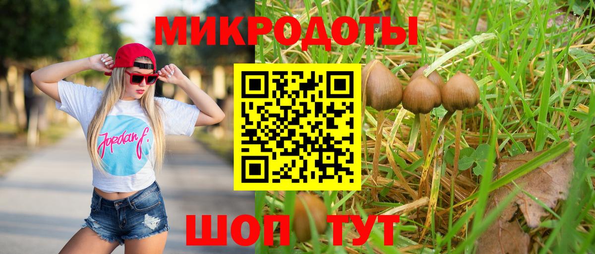 Псилоцибиновые грибы мухоморы Орск