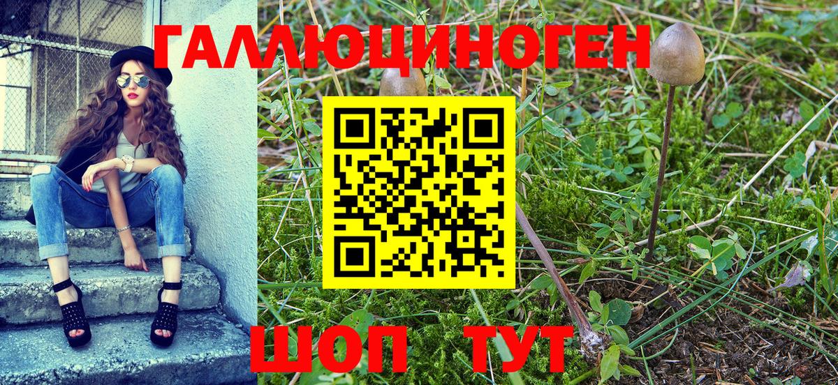 Галлюциногенные грибы MAGIC MUSHROOMS  Галлюциногенные грибы GOLDEN TEACHER  наркота  Вход с VPN  Орск 